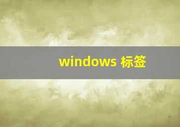 windows 标签